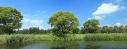 綠色產(chǎn)品認(rèn)證，人造板、衛(wèi)生陶瓷、家具、建材、快遞包裝等認(rèn)證